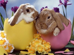 Easter Bunny Couple