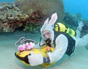 Easter Egg Hunt Dive