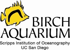 party-for-the-planet