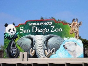 San-Diego-Zoo