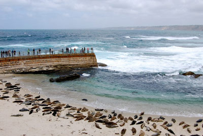 la-jolla