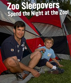 Spooky-Sleepover-at-San-Diego-zoo