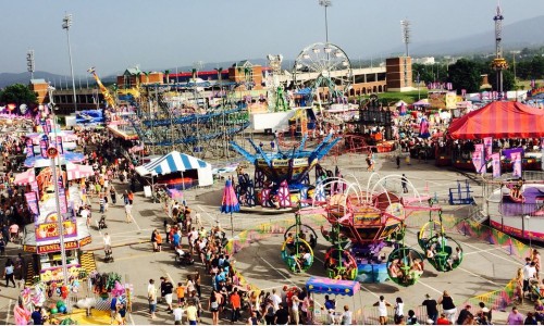 san-diego-county-fair-2015