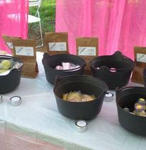 san-diego-pagan-pride-2015