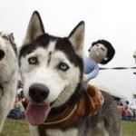 Gaslamp Mardi Gras "San Diego's #1 Mardi Gras Celebration"